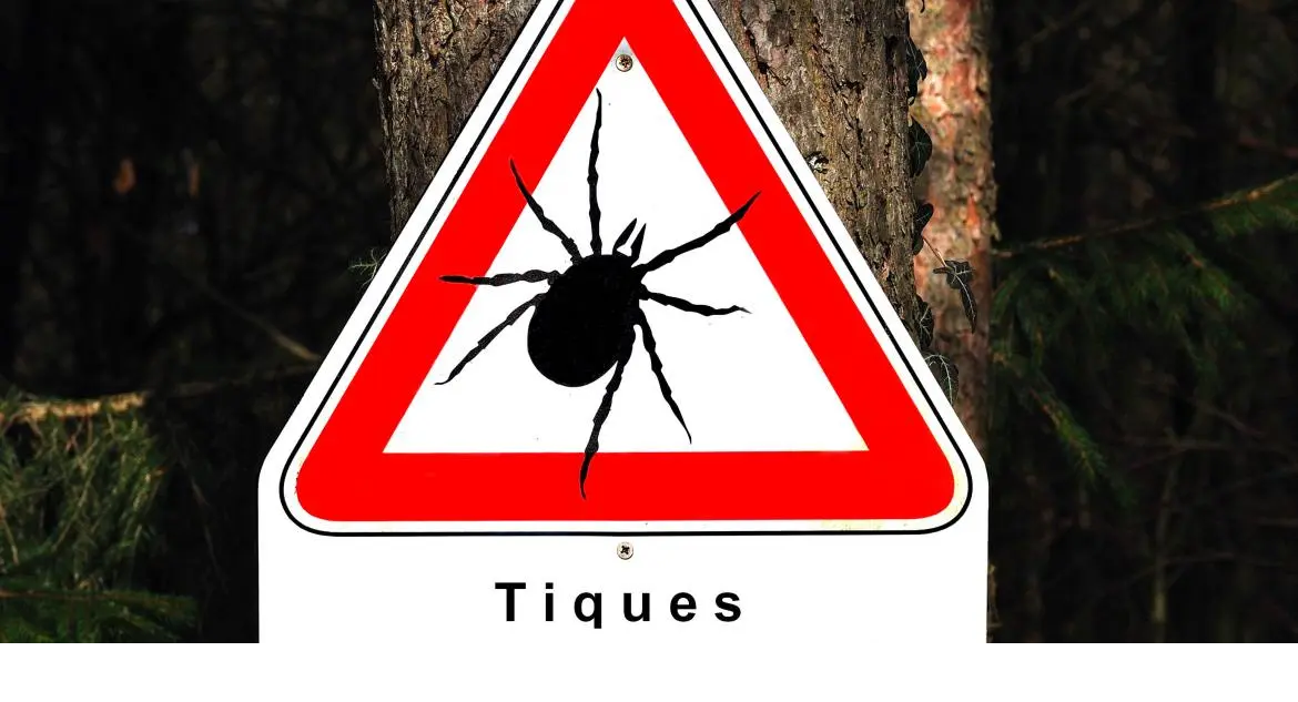 Les tiques sont de retour en force en ce début de printemps
